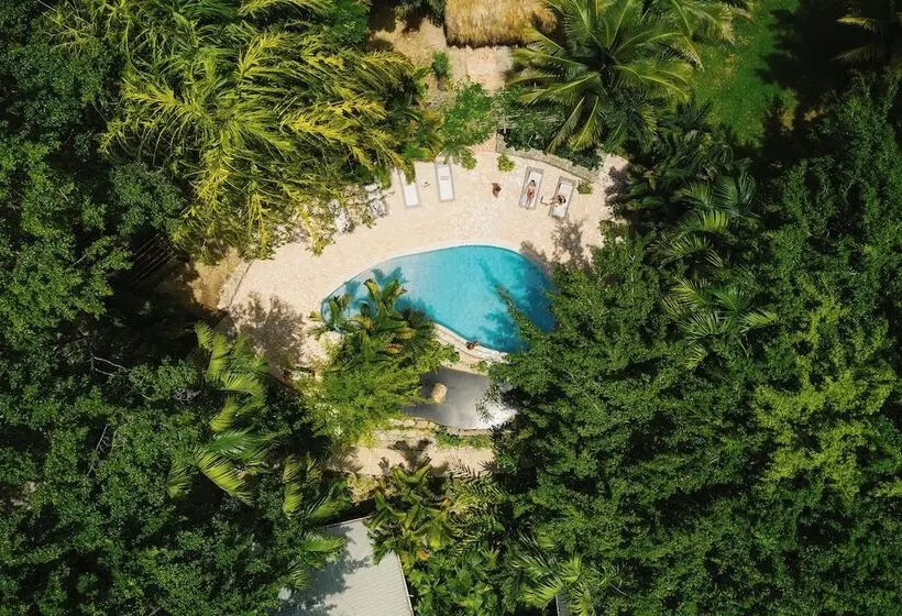 ホテル Copal Tree Lodge A Muy Ono Resort