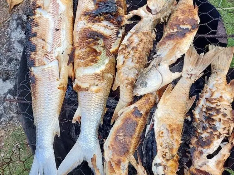 پانسیون Flyfishing Anaa Toku Kaiga