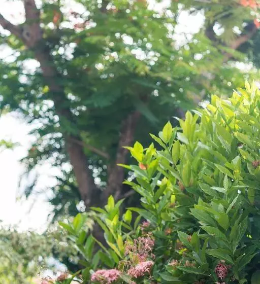 Retkeilymaja Pousada Solar Tropical