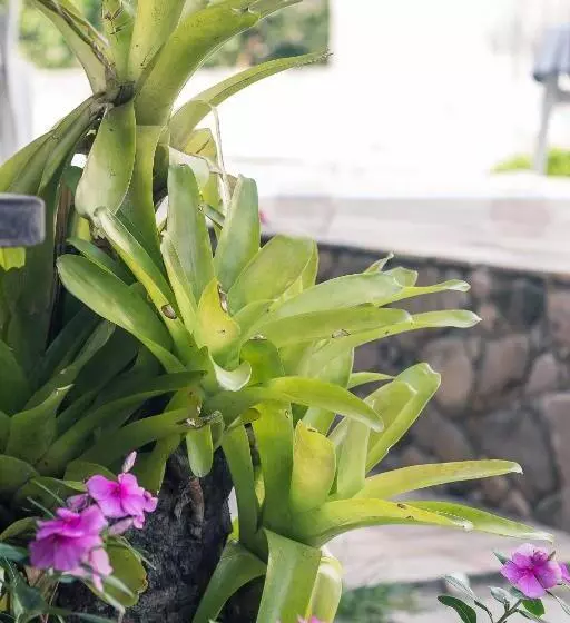 Retkeilymaja Pousada Solar Tropical