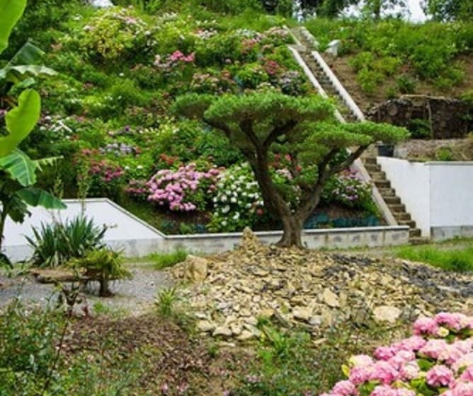 צימר Chateau De Druon