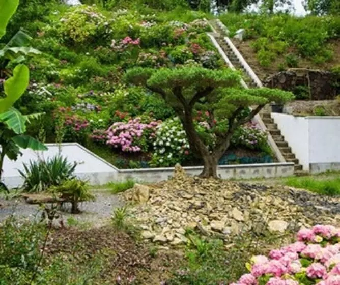 Aamiaismajoitus (B&B) Chateau De Druon