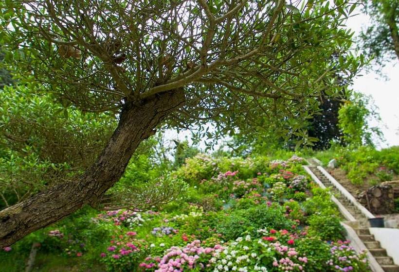 צימר Chateau De Druon