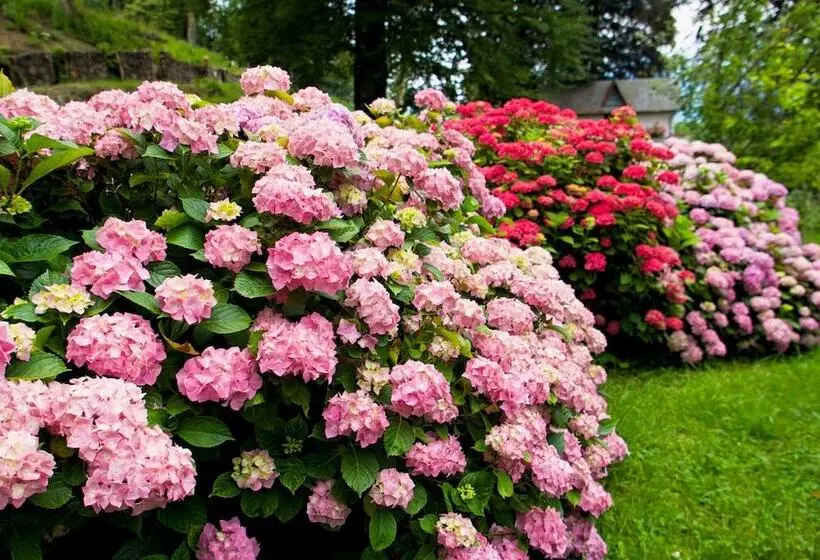 Aamiaismajoitus (B&B) Chateau De Druon