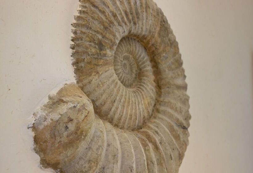 צימר Chateau De Druon