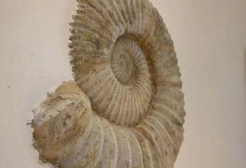 Aamiaismajoitus (B&B) Chateau De Druon