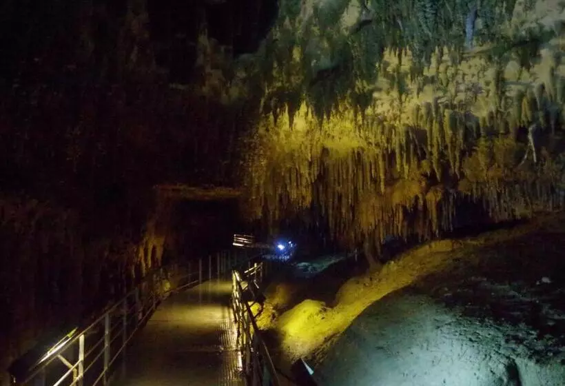 Condominium・yuyuki