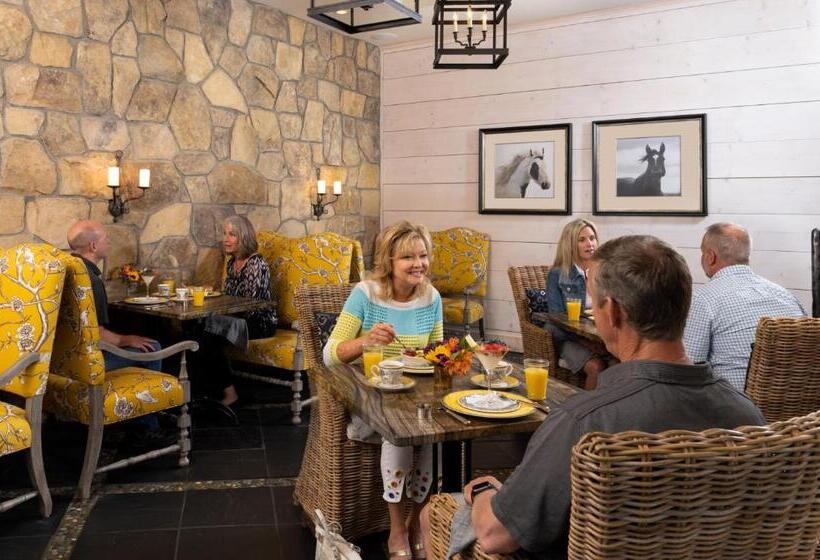 فندق The White Birch Inn