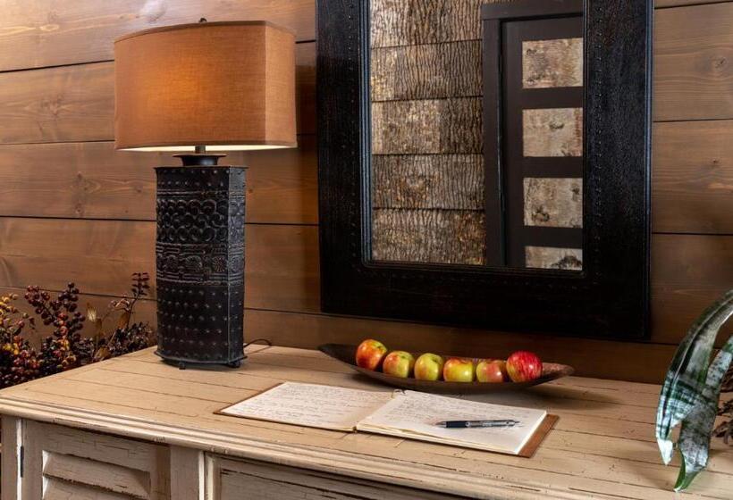 فندق The White Birch Inn
