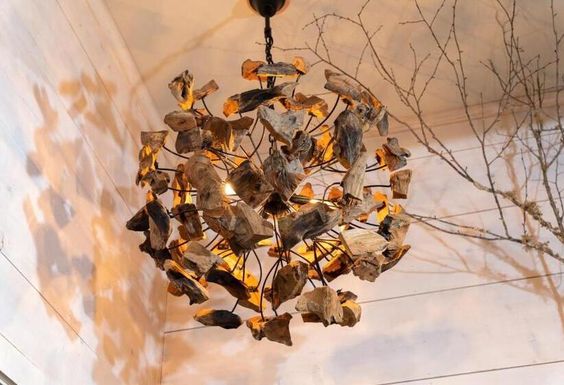 فندق The White Birch Inn