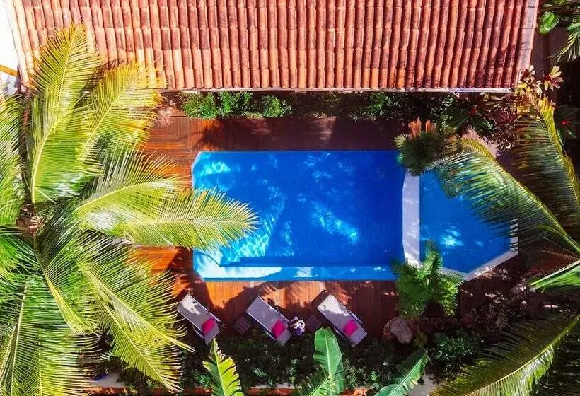 ホテル Pousada Agua De Coco