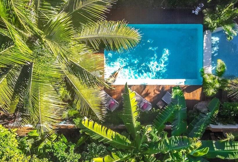 Hotel Pousada Agua De Coco