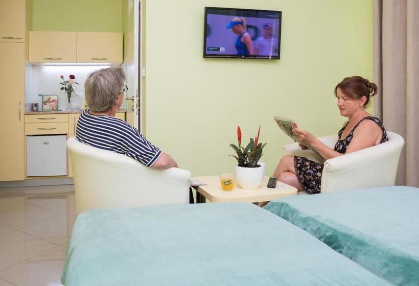 پانسیون San 011