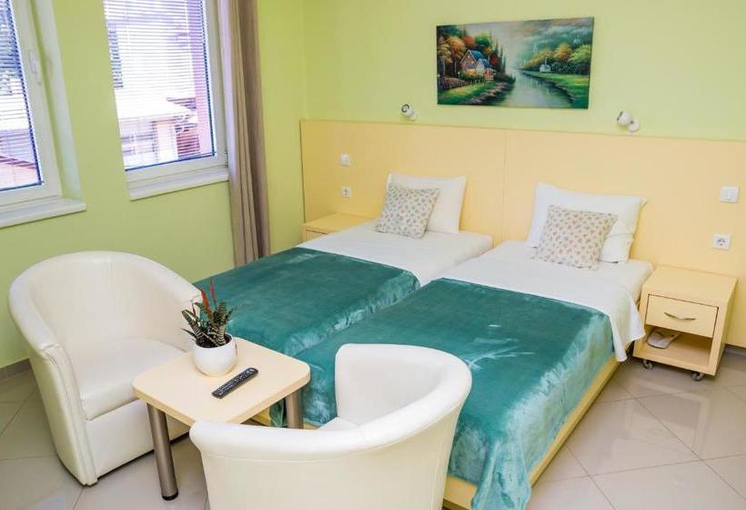 پانسیون San 011