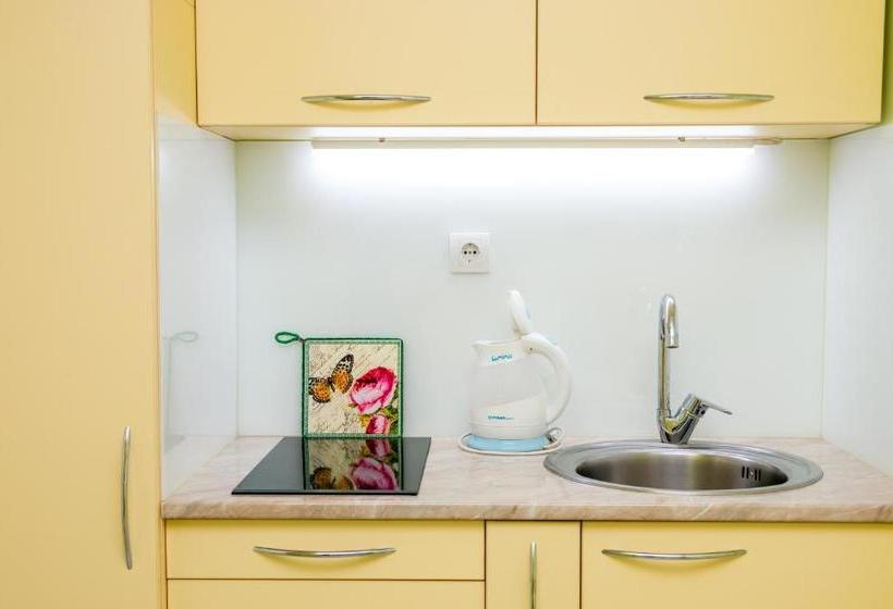 پانسیون San 011