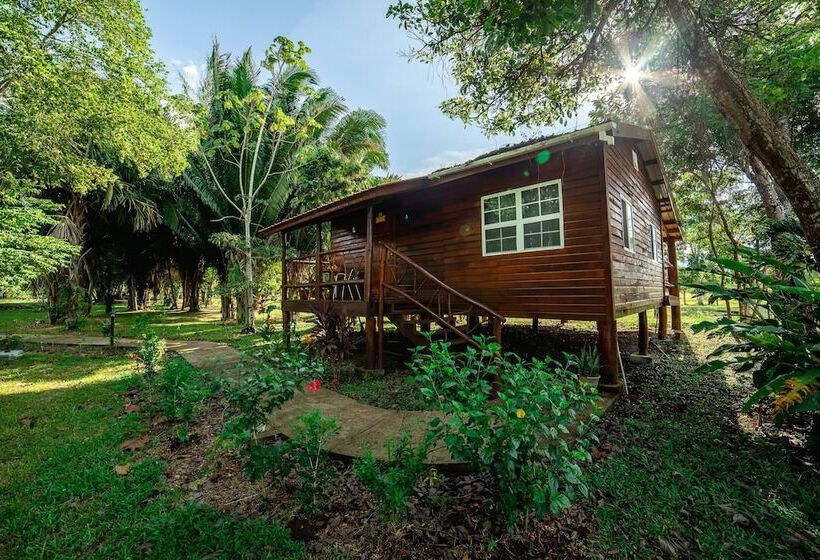 Отель Kikiwitz Resort