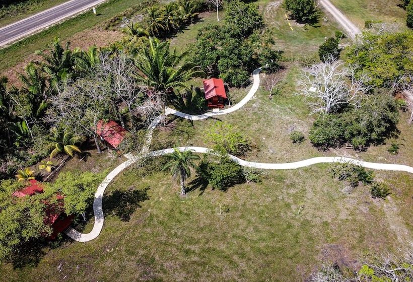 Отель Kikiwitz Resort