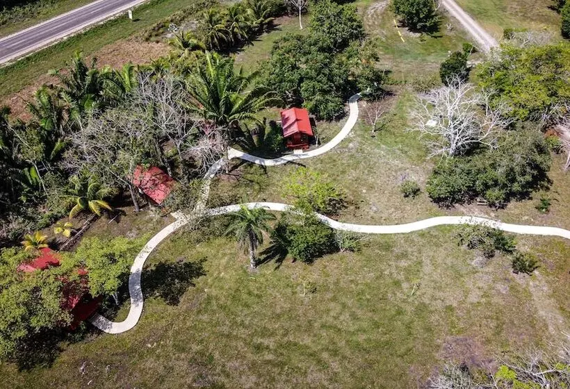 Hotelli Kikiwitz Resort