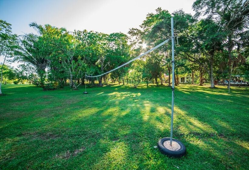 Отель Kikiwitz Resort