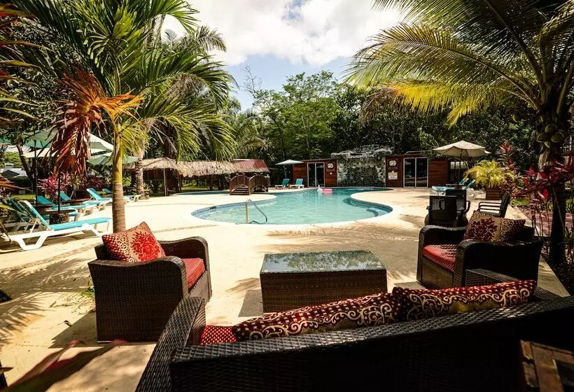 Hotelli Kikiwitz Resort