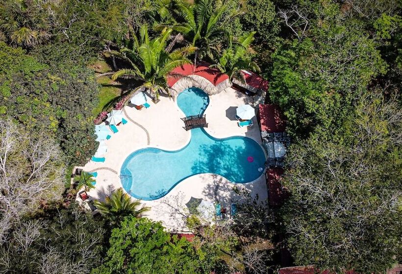 Отель Kikiwitz Resort