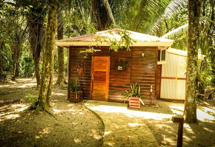 Отель Kikiwitz Resort