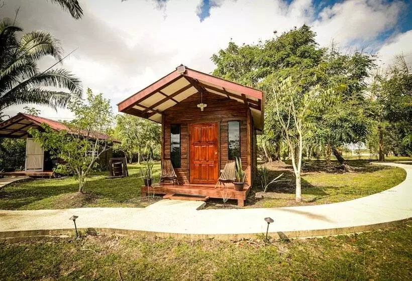 Hotelli Kikiwitz Resort