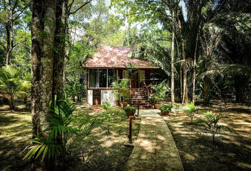 Отель Kikiwitz Resort