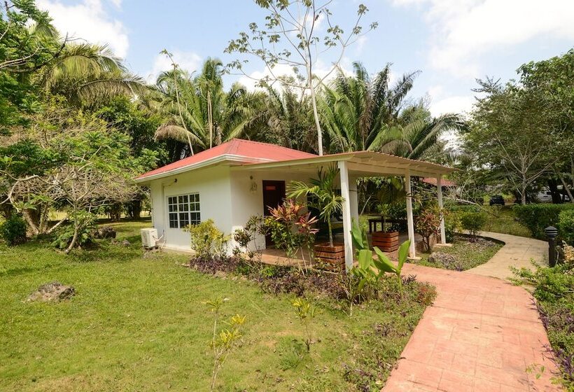 Отель Kikiwitz Resort