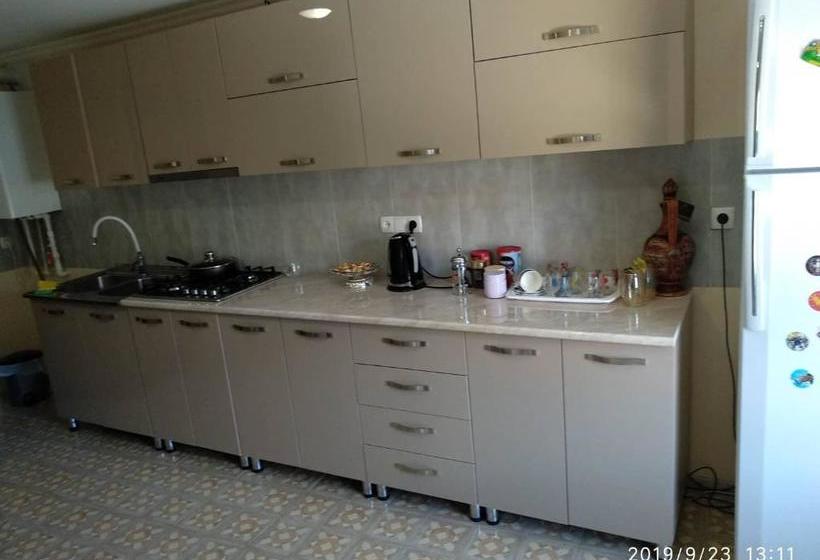 پانسیون Sabuka Qushashvili