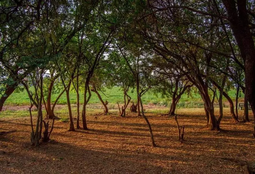 Eagle Waters Wildlife Resort