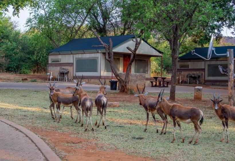 Eagle Waters Wildlife Resort