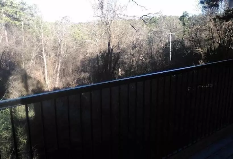 モーテル The Razorback Lodge