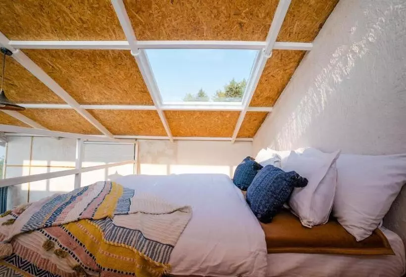 Majatalo Shivaya Since 1953