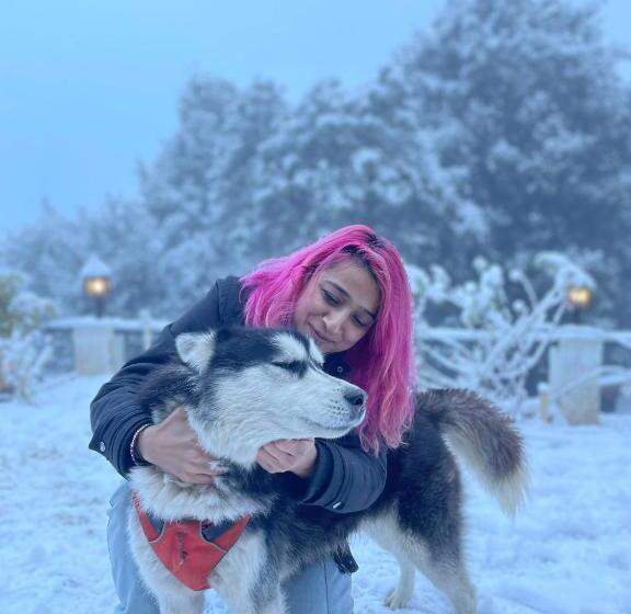 펜션 Shivaya Since 1953