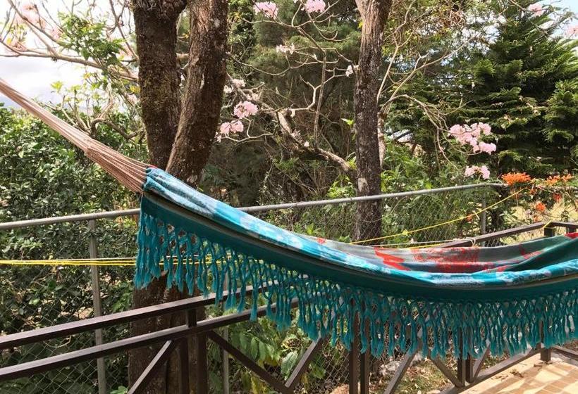 ペンション Pacandé Apartamentos