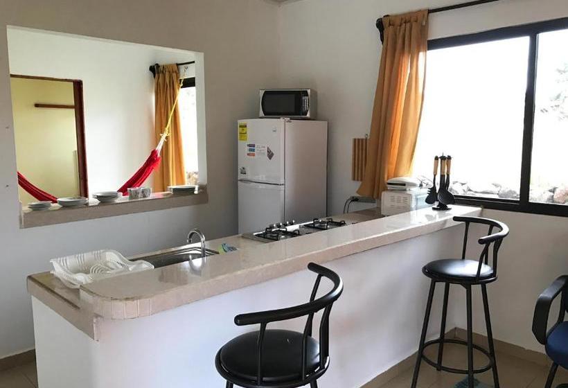 ペンション Pacandé Apartamentos