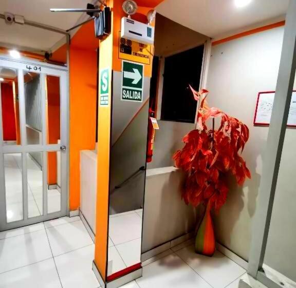 هاستل Sombrero De Paja