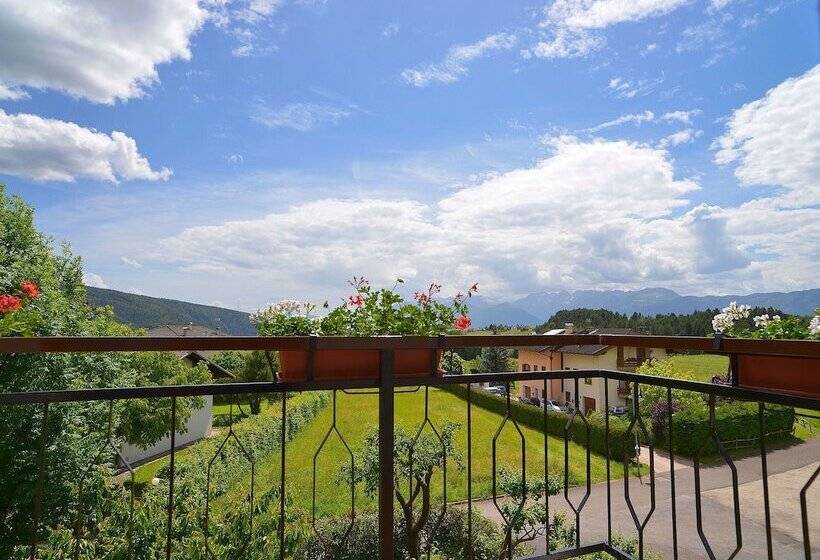 Hotel Piccolo Orso Bruno