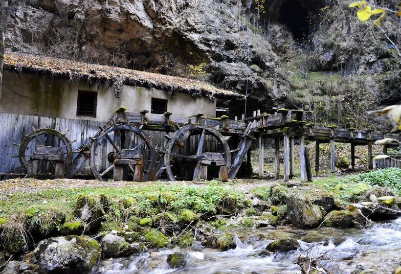 Hotel Piccolo Orso Bruno