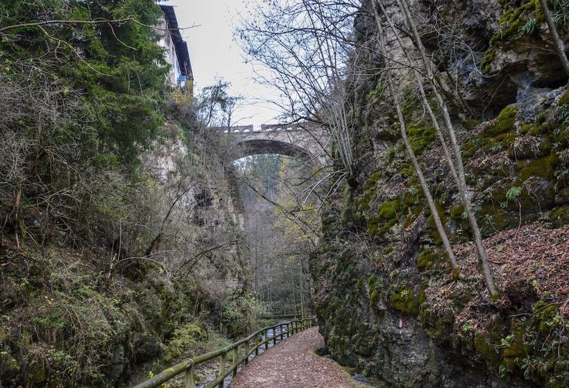 Hotel Piccolo Orso Bruno