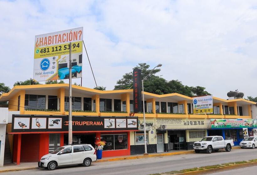 فندق Avenida Express