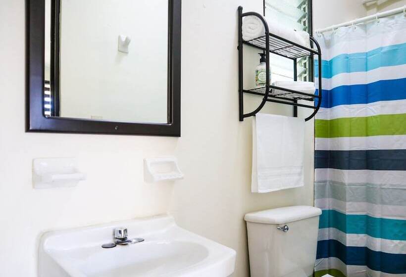 فندق Avenida Express