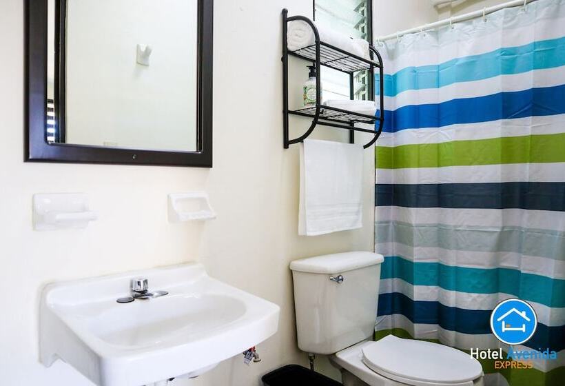 فندق Avenida Express