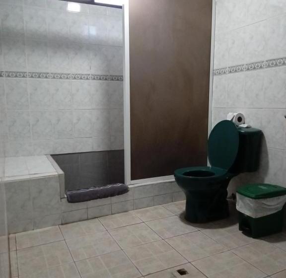 膳宿费 Casa De Alexis