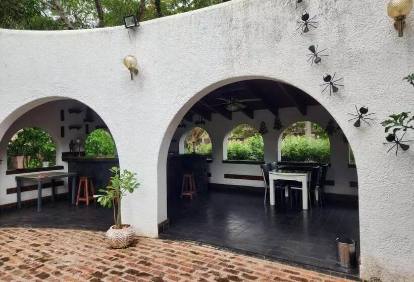 تختخواب و صبحانه Jacaranda Lodge
