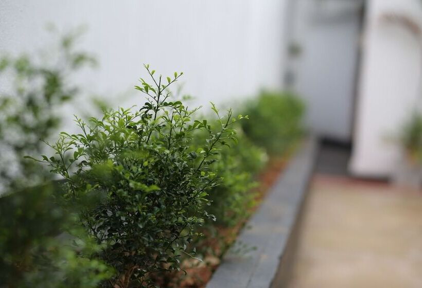 בית מלון כפרי Dream Villa Tadini