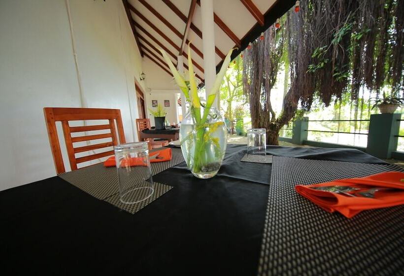 בית מלון כפרי Dream Villa Tadini