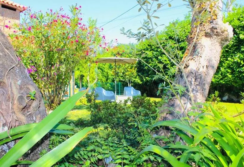 Majatalo The Oak´s Wolf Country House