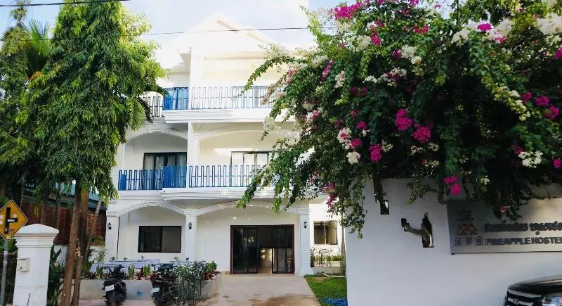 Pineapple Hostel